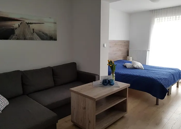 Anna 코워브제크